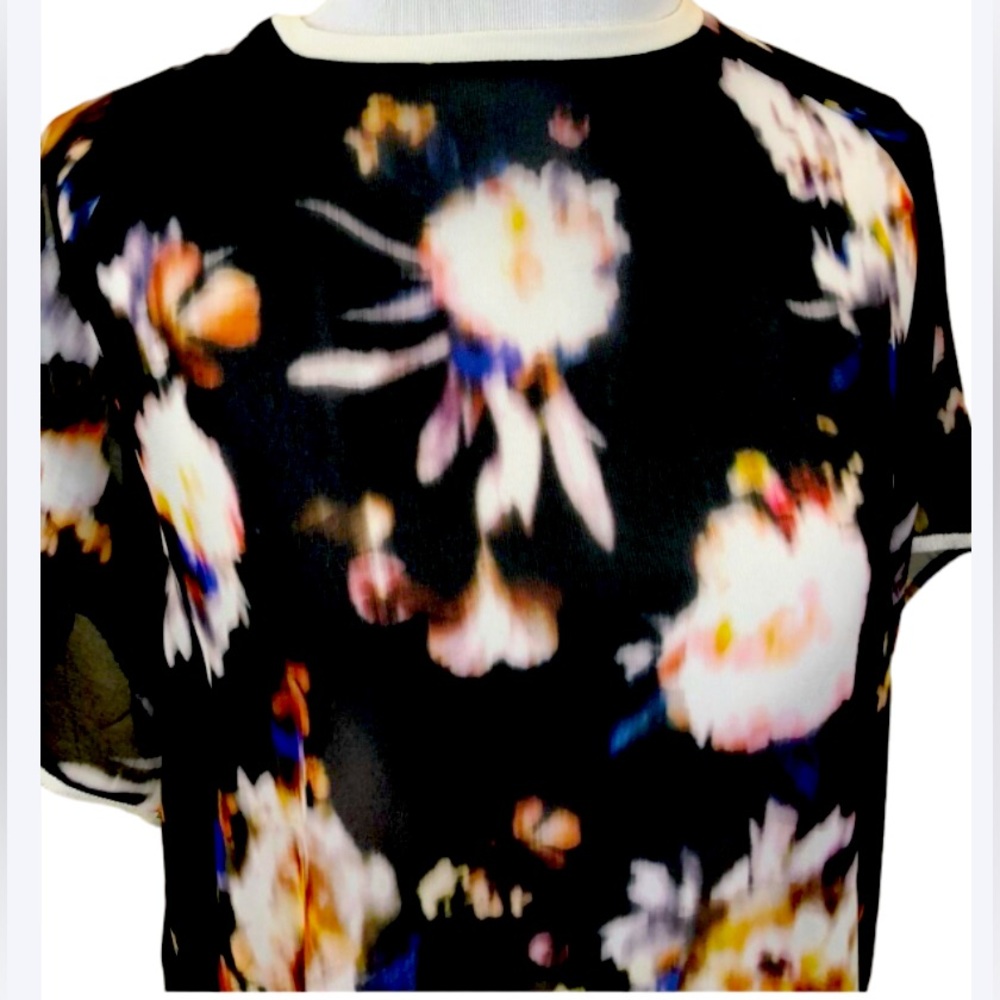 - Zara top with zipper on the back